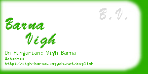 barna vigh business card